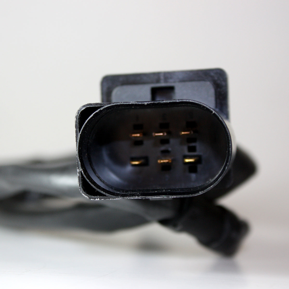 FUELTECH WIDEBAND O2 SENSOR - GASOLINE  - Pro Line Racing - 2