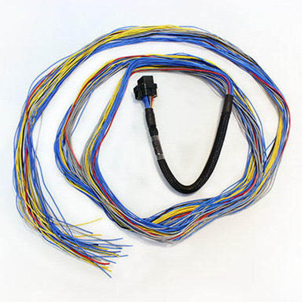 FUELTECH FT600 UNTERMINATED HARNESS  - Pro Line Racing - 3